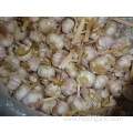 Normal White Garlic 2019 Crop
